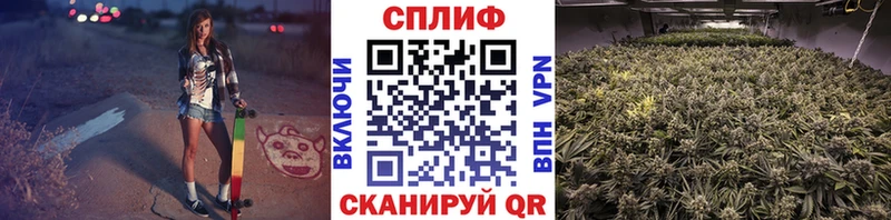 ГАШ Каневская