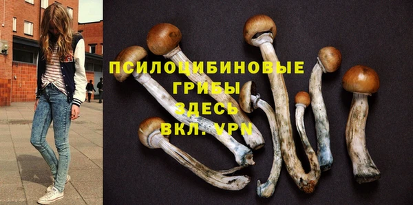 дмт Балахна