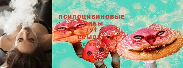 прущие крисы Баксан